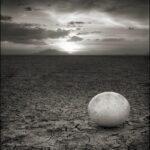 The current image has no alternative text. The file name is: original_05-abandonedostrichegg-jpg-x540q80.jpg